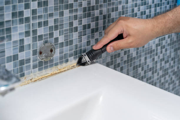 Best Mold Remediation for Specific Building Types in Half Moon, NC