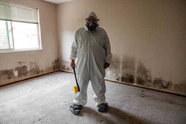 Professional Mold Remediation in Half Moon, NC